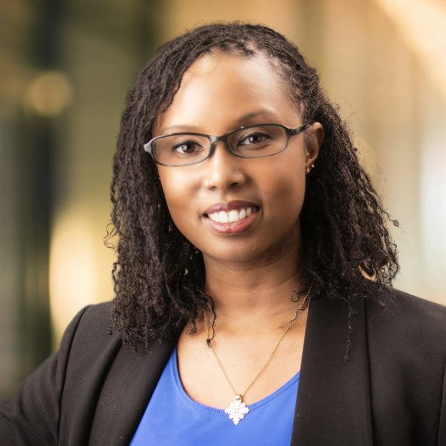 Wanda Demeke website image