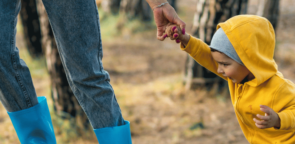 Website header images test